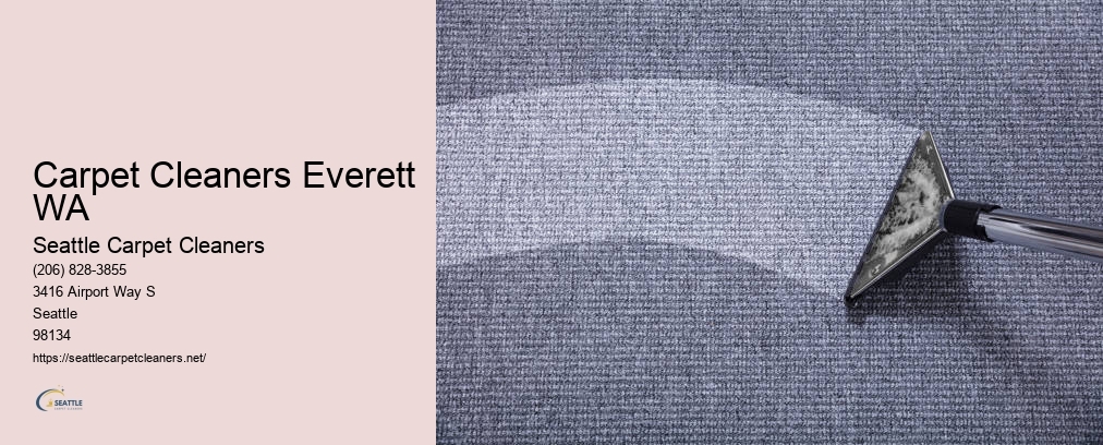 Rug Cleaning Seattle