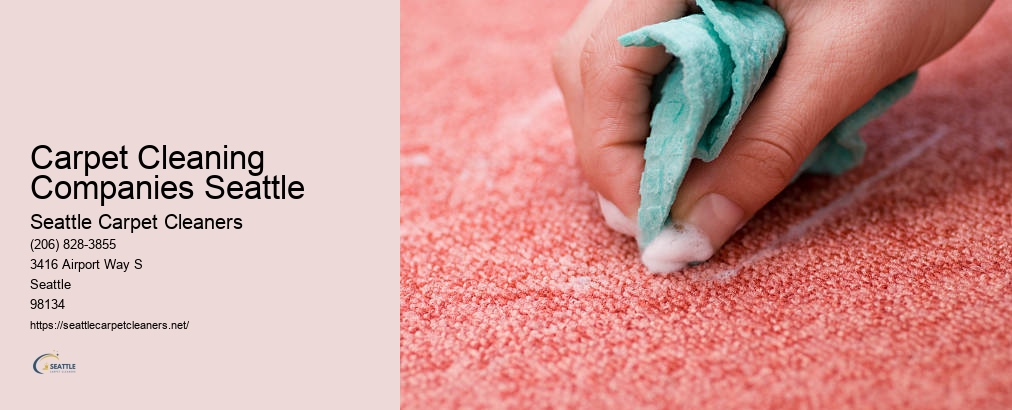 Best Carpet Cleaning Seattle