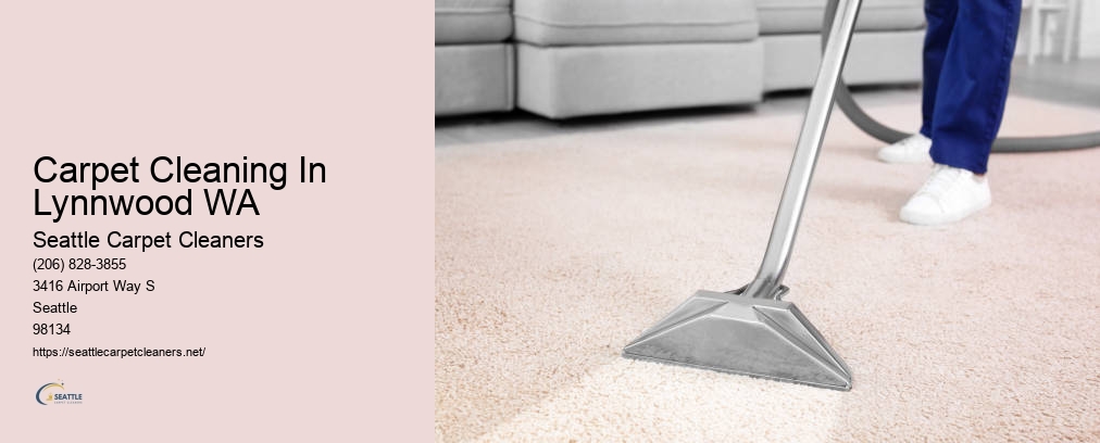 Seattle Odor Removal