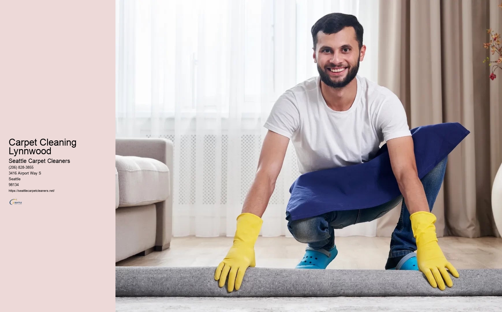 Professional Carpet Cleaners Seattle WA
