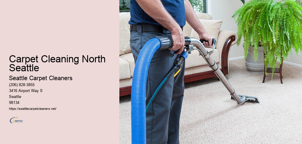 Carpet Cleaning In Lynnwood WA