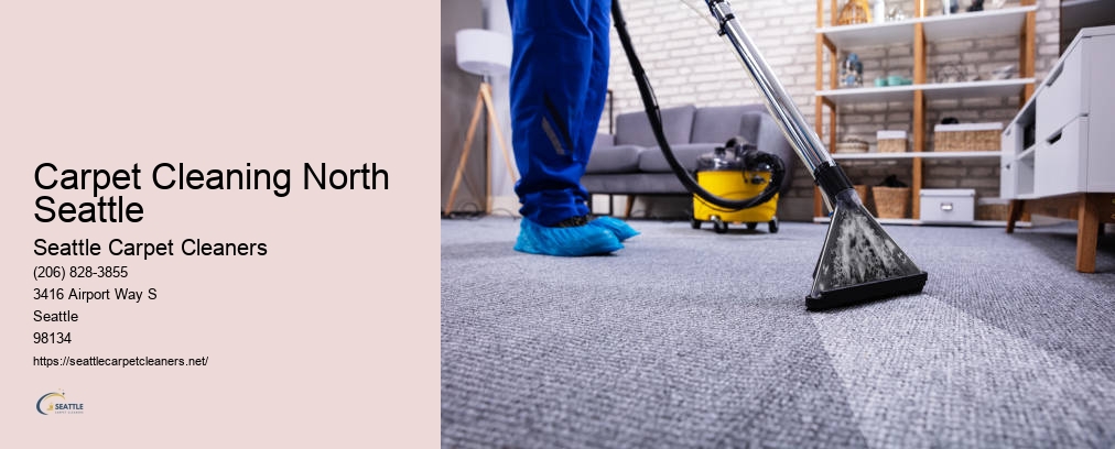 Carpet Cleaning Burien WA