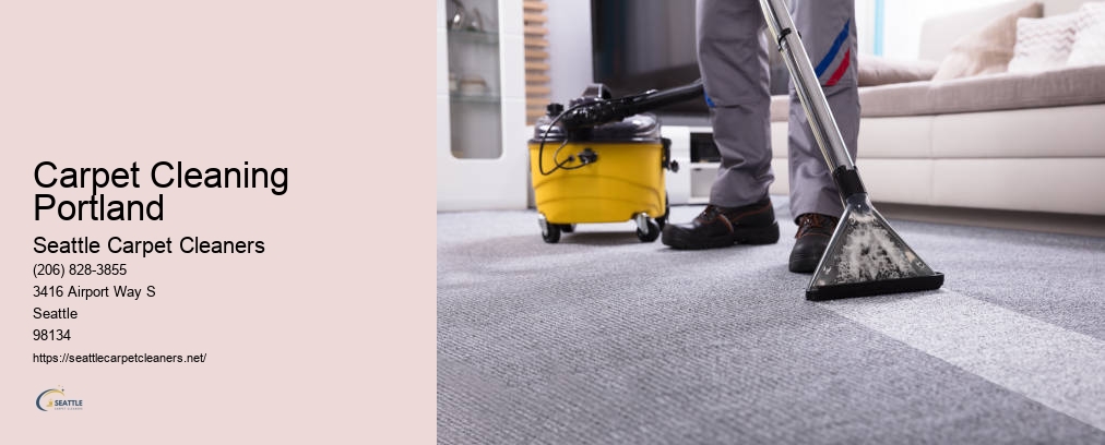 Seattle Rug Cleaners