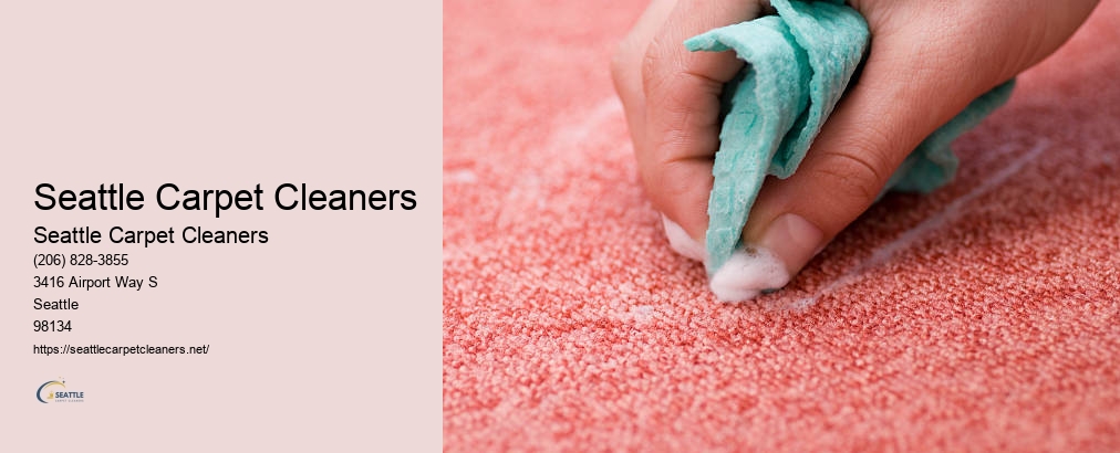 Seattle Odor Removal