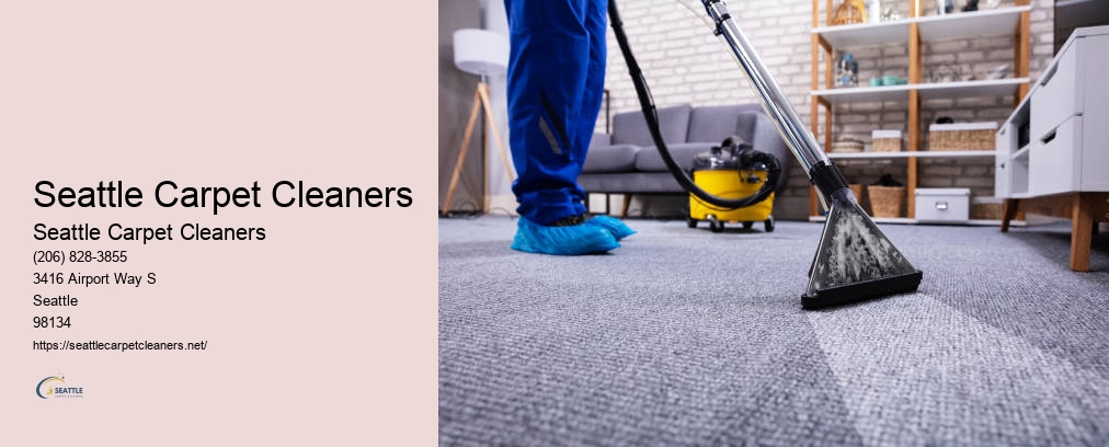 Rug Cleaning Seattle