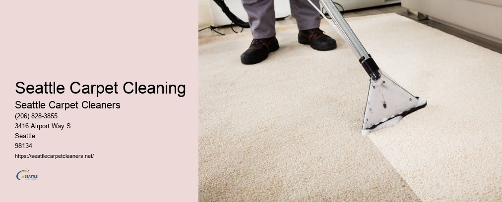 Seattle Rug Cleaning