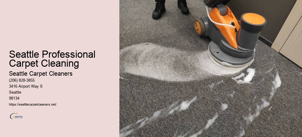 Carpet Cleaners Everett WA