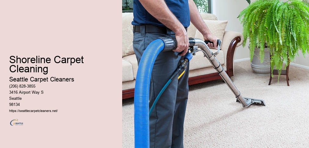Amazing Carpet Cleaning Seattle